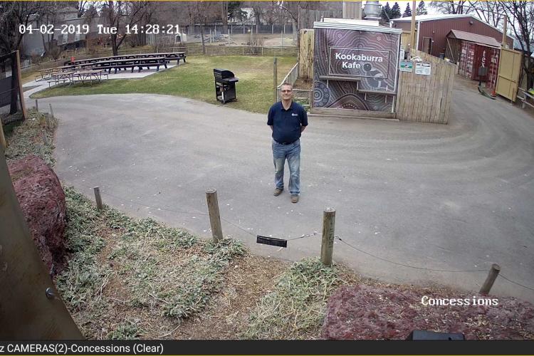 Homer at the Zoo