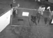 Jumping Fence